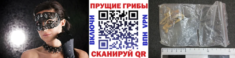 Псилоцибиновые грибы прущие грибы  Шилка 